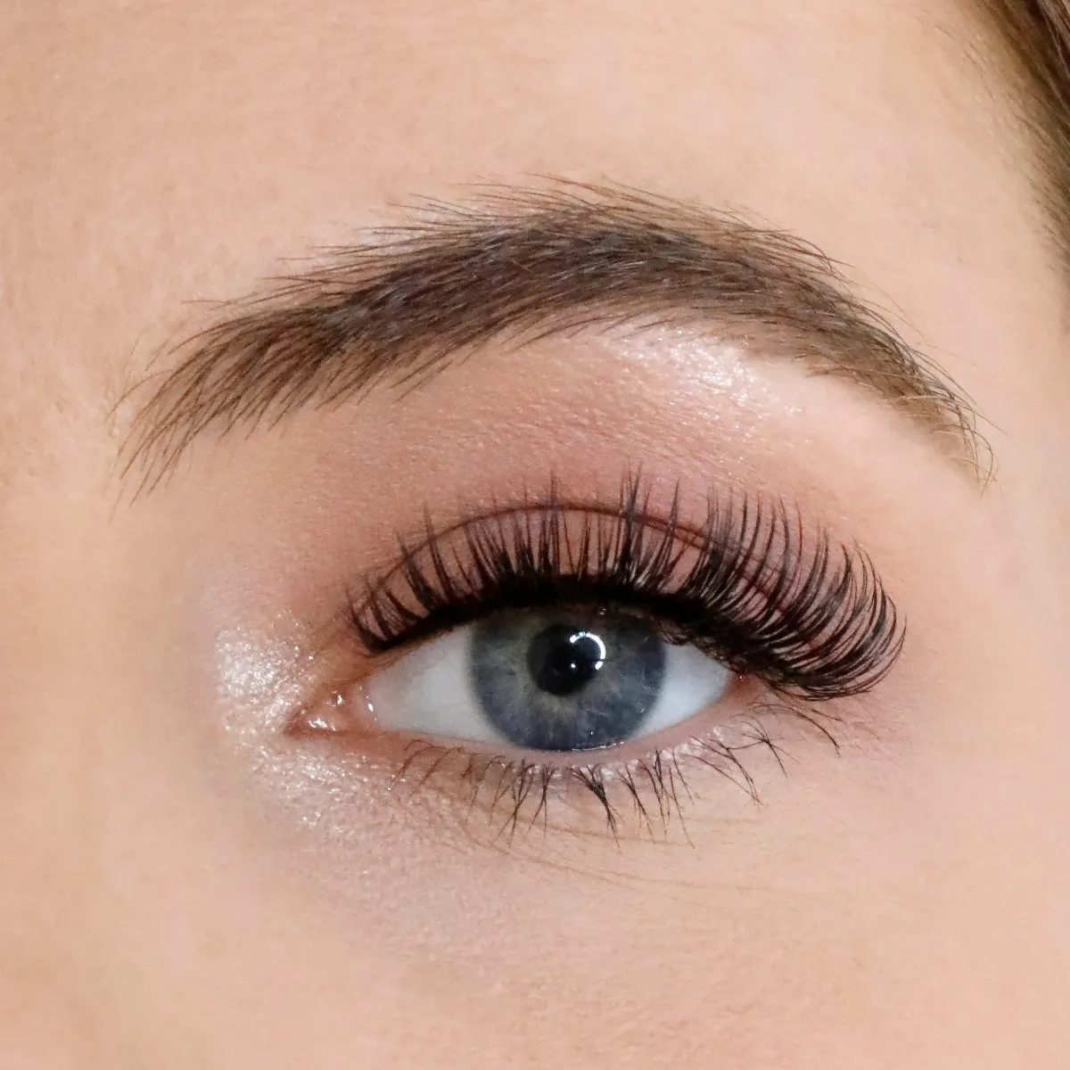 L.W.I Boss it Russian Strip Lash Bundle