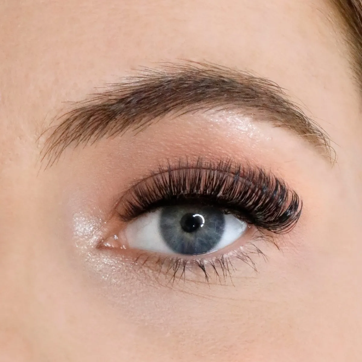 L.W.I Boss it Russian Strip Lash Bundle
