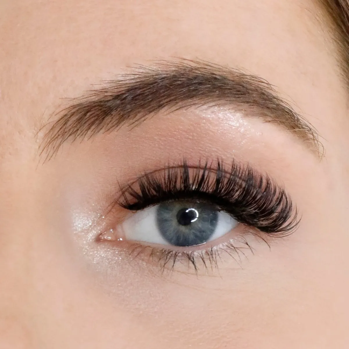 L.W.I Boss it Russian Strip Lash Bundle